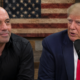 joe rogan trump